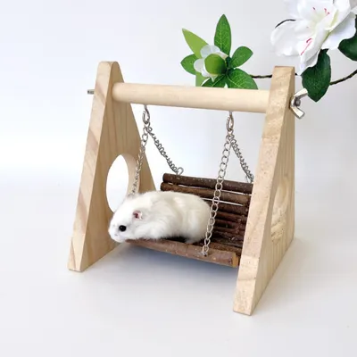 Pawzy Jouet swing pour petit animal de compagnie