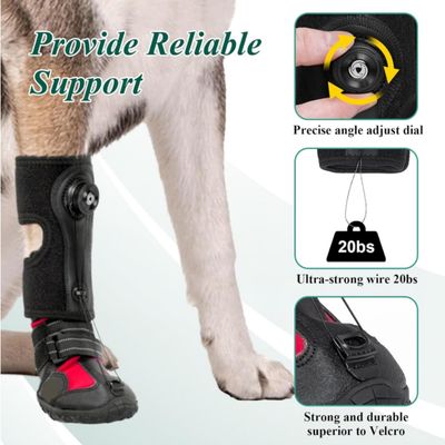 Zoomtopia Chaussures de soutien pour pattes de chien