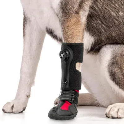 Zoomtopia Stützschuhe für Hundepfoten Zoomtopia Stützschuhe für Hundepfoten