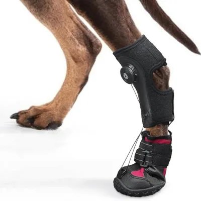 Zoomtopia Stützschuhe für Hundepfoten Zoomtopia Stützschuhe für Hundepfoten