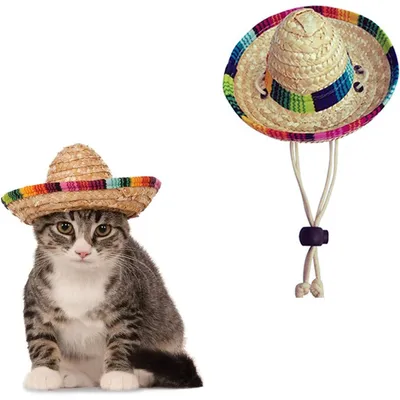 Zoomtopia Chapeau de soleil pour chat