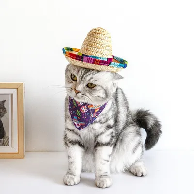 Zoomtopia Chapeau de soleil pour chat
