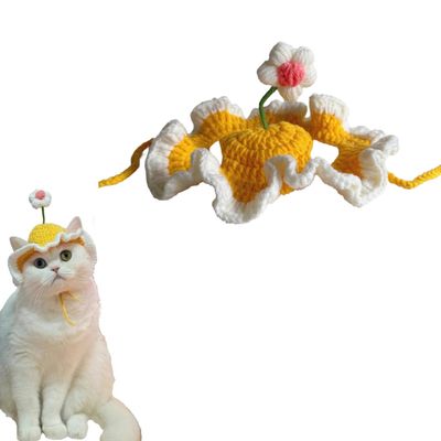 Zoomtopia Chapeau de chat mignon