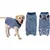 Pawzy Vêtement de convalescence pour chien Pawzy Vêtement de convalescence pour chien