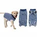 Pawzy Vêtement de convalescence pour chien