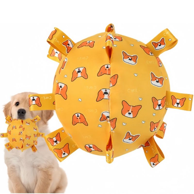 Pawzy Jouet pour chien  Balle avec son