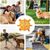 Pawzy Jouet pour chien  Balle avec son