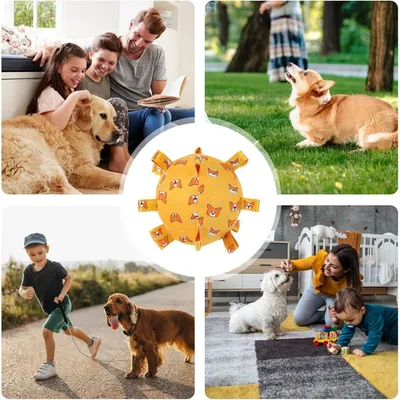 Pawzy Jouet pour chien  Balle avec son