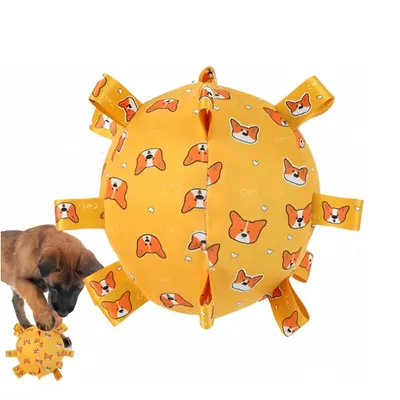 Pawzy Jouet pour chien  Balle avec son