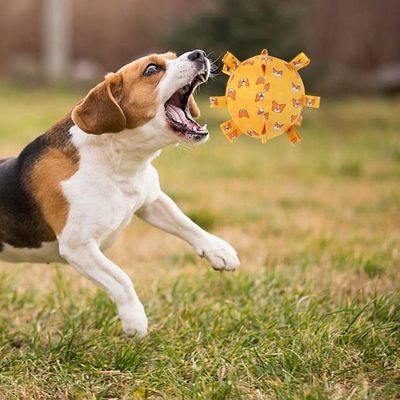 Pawzy Jouet pour chien  Balle avec son