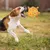 Pawzy Jouet pour chien  Balle avec son