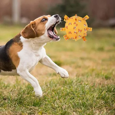 Pawzy Jouet pour chien  Balle avec son