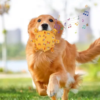 Pawzy Jouet pour chien  Balle avec son