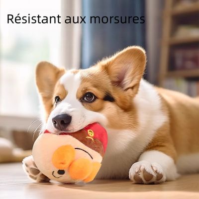 Zoomtopia Jouet interactif pour chien