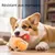Zoomtopia Jouet interactif pour chien