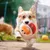 Zoomtopia Jouet interactif pour chien