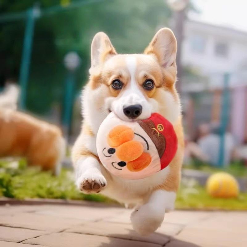 Zoomtopia Jouet interactif pour chien
