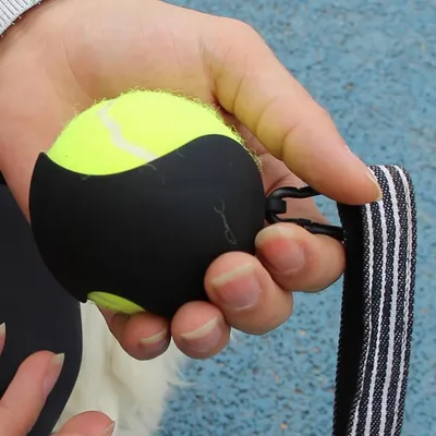 Zoomtopia Balle de tennis  pour chien