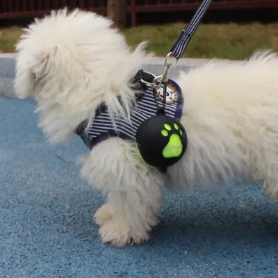 Zoomtopia Balle de tennis  pour chien