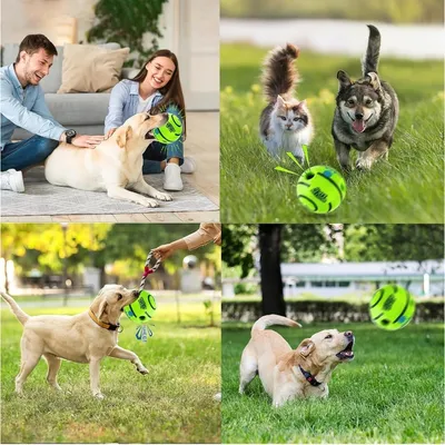 Zoomtopia Balle à rire pour chiens