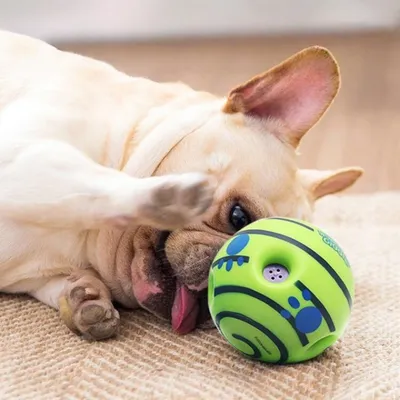 Zoomtopia Balle à rire pour chiens