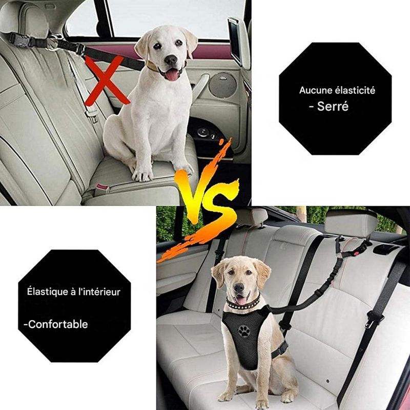 Coco Pup Lot de 2 Ceintures de Sécurité pour Chien