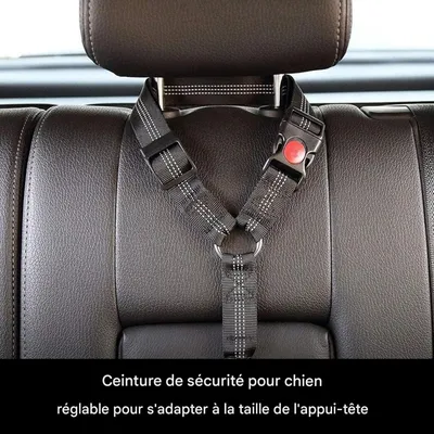 Coco Pup Lot de 2 Ceintures de Sécurité pour Chien