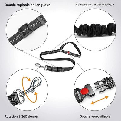 Coco Pup Lot de 2 Ceintures de Sécurité pour Chien