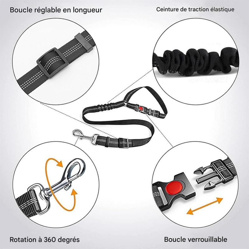 Coco Pup Lot de 2 Ceintures de Sécurité pour Chien