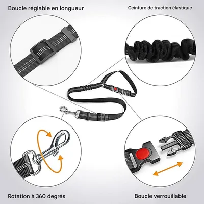 Coco Pup Lot de 2 Ceintures de Sécurité pour Chien