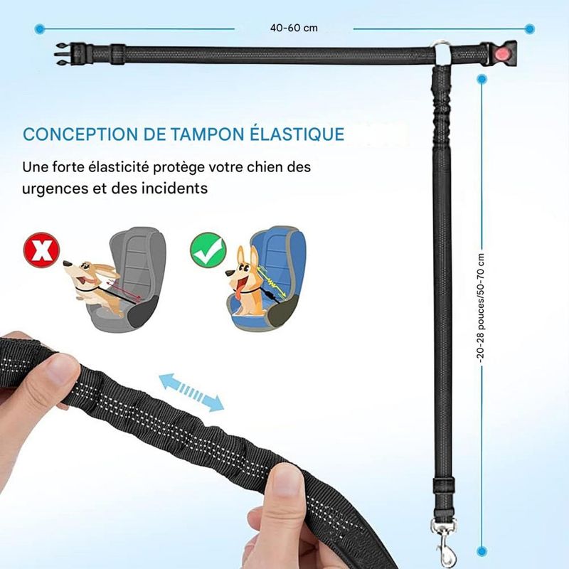Coco Pup Lot de 2 Ceintures de Sécurité pour Chien