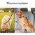 Coco Pup Lot de 2 Ceintures de Sécurité pour Chien