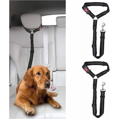 Coco Pup Lot de 2 Ceintures de Sécurité pour Chien Coco Pup Lot de 2 Ceintures de Sécurité pour Chien