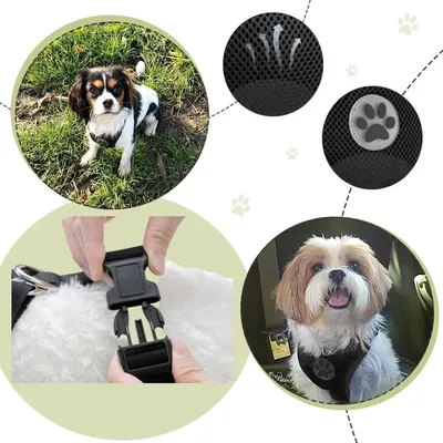 Zoomtopia Harnais de sécurité pour chien