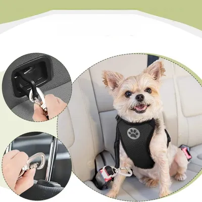 Zoomtopia Harnais de sécurité pour chien