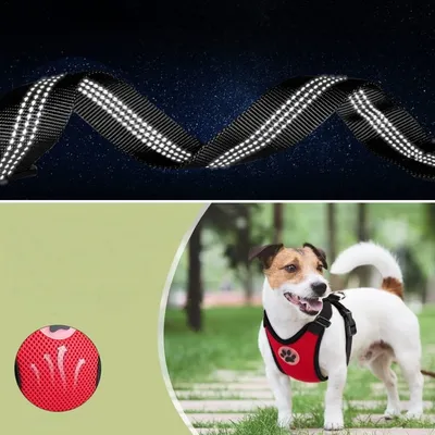 Zoomtopia Harnais de sécurité pour chien