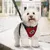 Zoomtopia Harnais de sécurité pour chien
