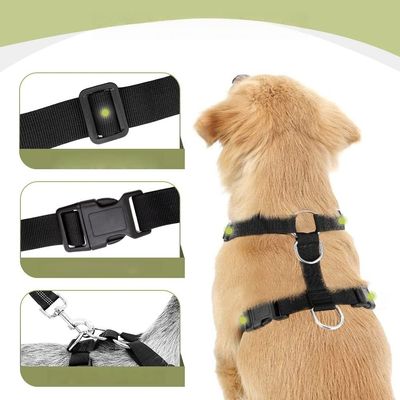 Zoomtopia Harnais de sécurité pour chien