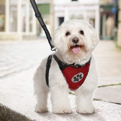 Zoomtopia Harnais de sécurité pour chien