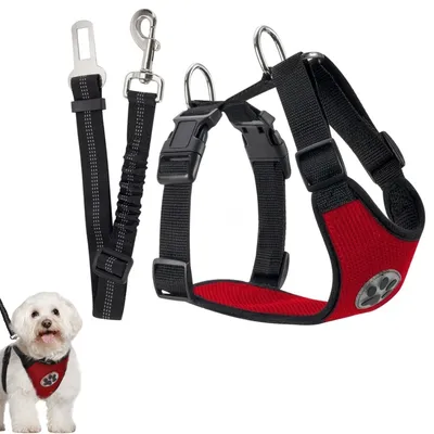 Zoomtopia Harnais de sécurité pour chien Zoomtopia Harnais de sécurité pour chien