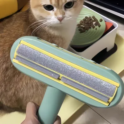 Zoomtopia Outil d'épilation pour animaux de compagnie