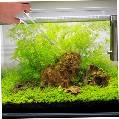 Pawzy Kit d'entretien d'aquarium 4 articles