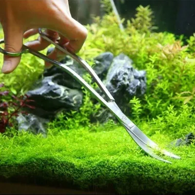 Pawzy Kit d'entretien d'aquarium 4 articles