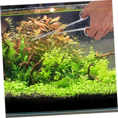Pawzy Kit d'entretien d'aquarium 4 articles