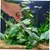 Pawzy Kit d'entretien d'aquarium 4 articles