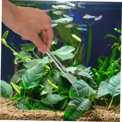 Pawzy Kit d'entretien d'aquarium 4 articles