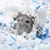FurryFusion Litière en coton et papier pour petits animaux FurryFusion Litière en coton et papier pour petits animaux