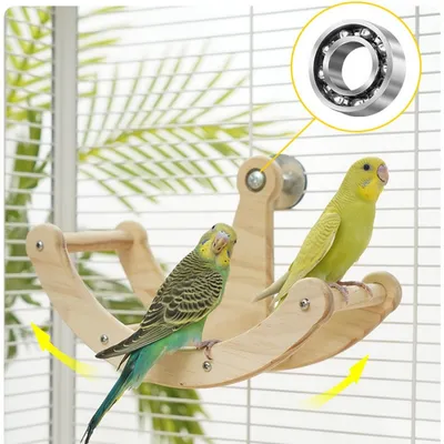 Zoomtopia Roue d'exercice pour oiseaux