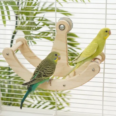 Zoomtopia Roue d'exercice pour oiseaux