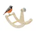 Zoomtopia Roue d'exercice pour oiseaux
